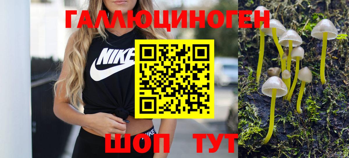 Галлюциногенные грибы Magic Shrooms Холмск