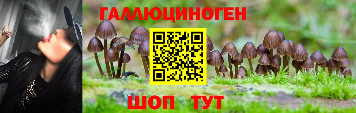 Галлюциногенные грибы мицелий  Галлюциногенные грибы мицелий  Вход с VPN  Холмск 